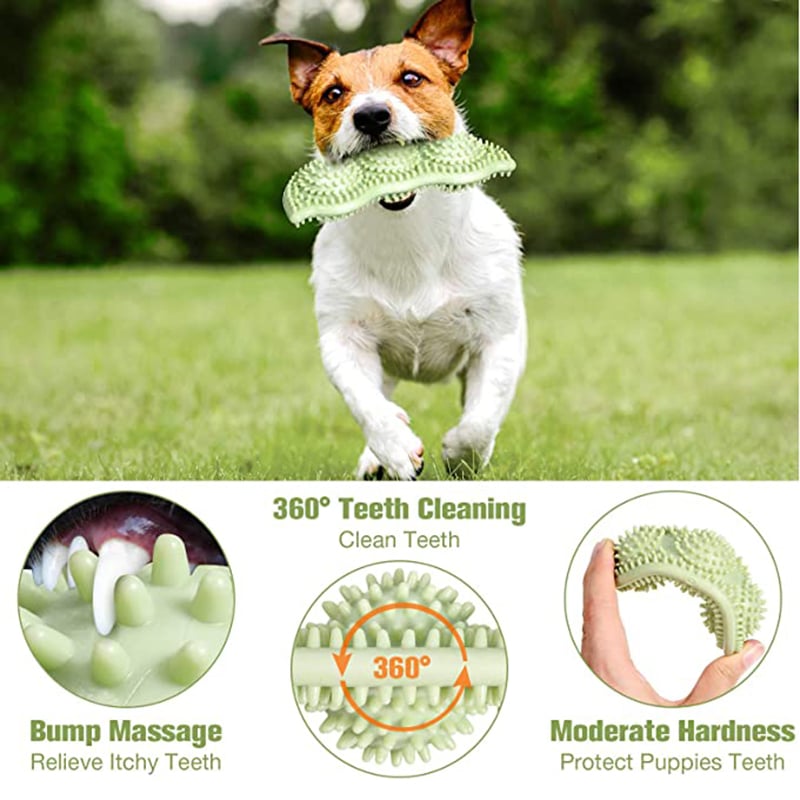 Chew-Safe Interactive Dog Toy