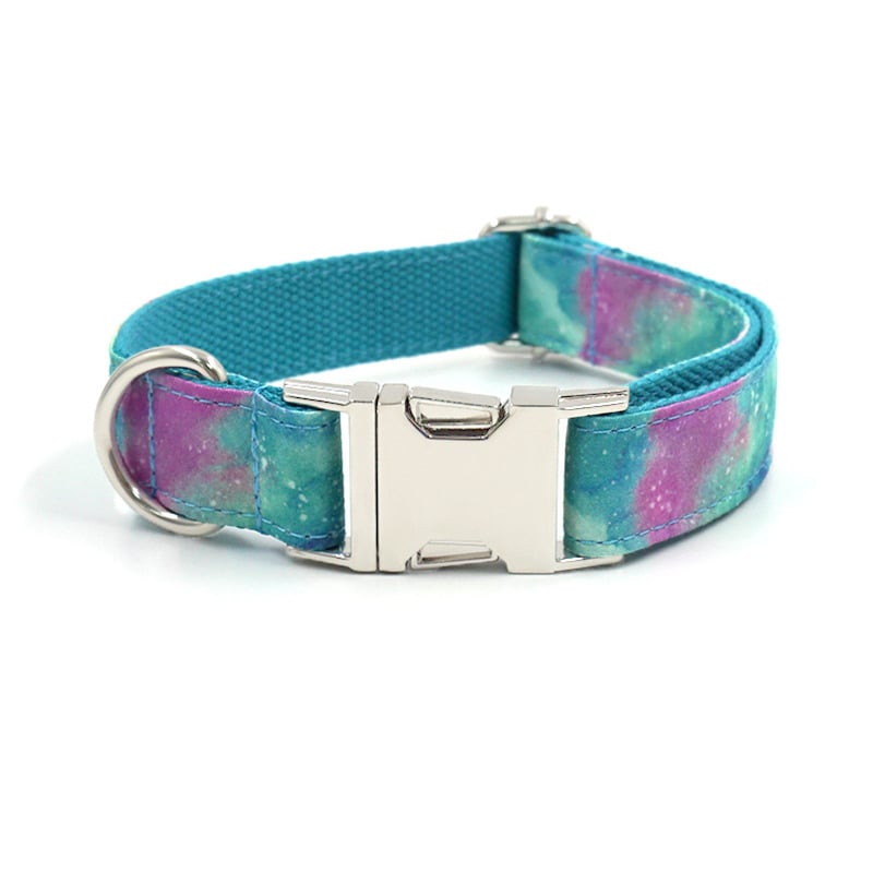Stylish Durable Dog Collar & Leash
