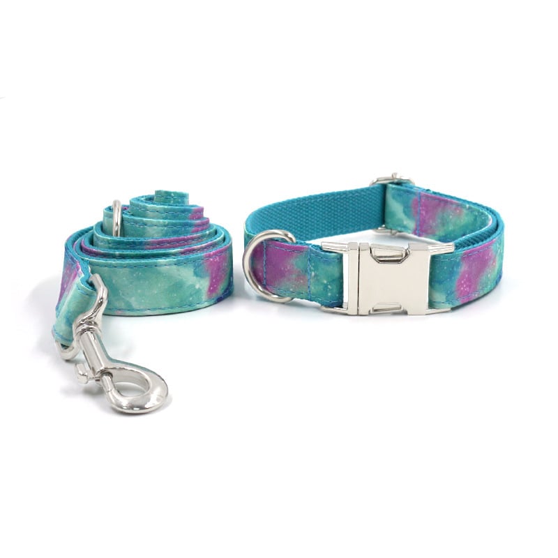 Stylish Durable Dog Collar & Leash