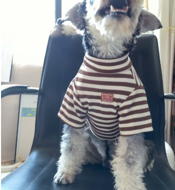 Chic Summer Pet Outfits for Small Dogs