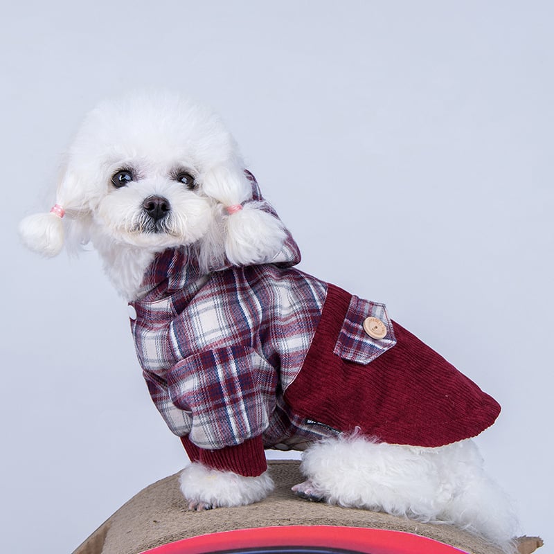 Pomeranian Elite Cashmere Dog Coat